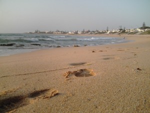 IMG_0012.JPG