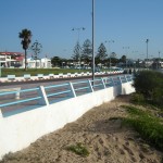 DSC04410