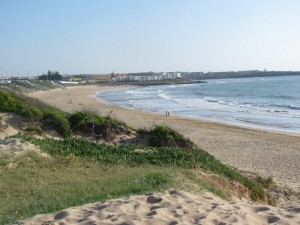 IMG_0649-1