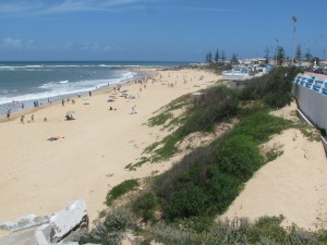IMG_0707